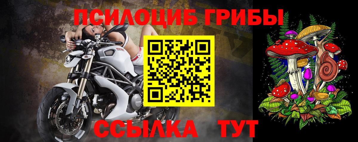 Сергиев Посад  Псилоцибиновые грибы прущие грибы  Псилоцибиновые грибы Psilocybine cubensis  Вход с VPN 